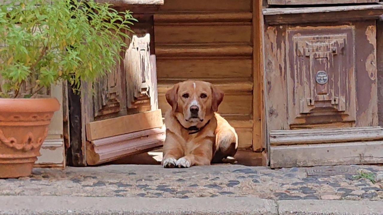 Hotel Epicerie Vieille Du Puy En Velay Le Puy-en-Velay Zewnętrze zdjęcie